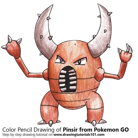 what color is pinsir.
